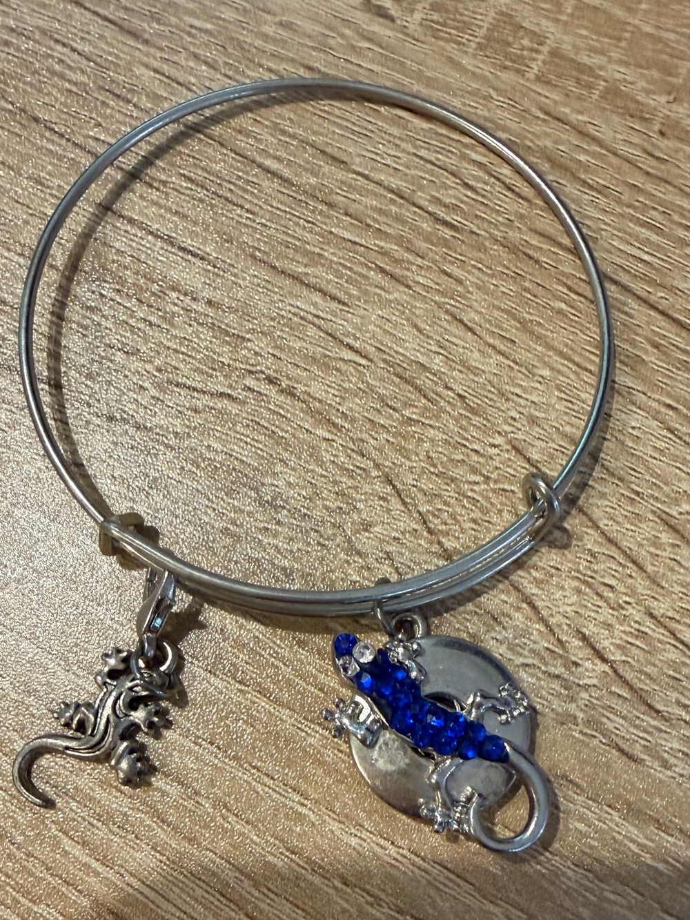 Source Unknown Silver-Tone Bangle with Blue Crystal Lizard Charms